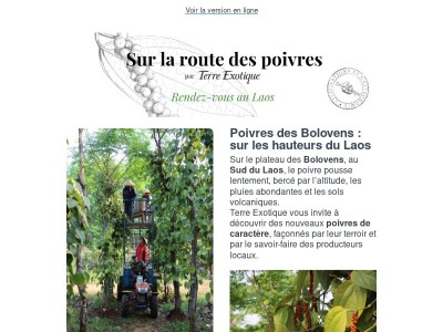 Sur la route des poivres : rendez-vous au Laos