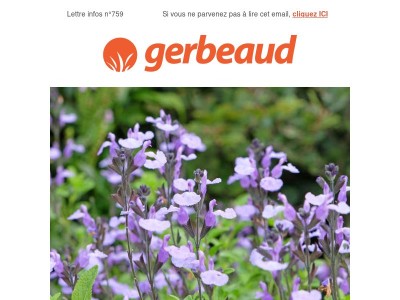 Vos conseils plantes et jardin pour la semaine