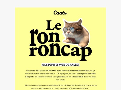 L'actu préférée de ton chat ! 😉