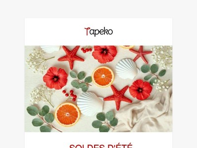 ☀️ Les Soldes d'Été commencent MAINTENANT ! -50% sur toutes les commandes