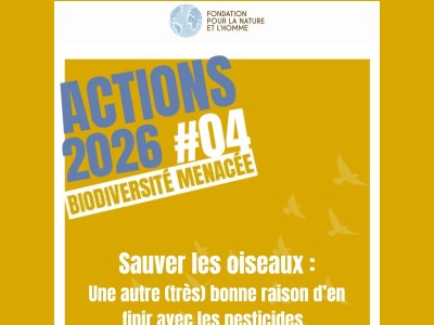 #actions2026 : sauvons les oiseaux {{ lastname }} !