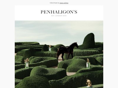 Your invitation to Portraits In The Garden