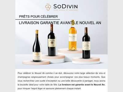 Prêts pour célébrer 🥂 - Livraison garantie avant le Nouvel An ! 🚚