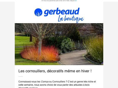 Un beau jardin 😍 même en hiver avec les cornouillers !
