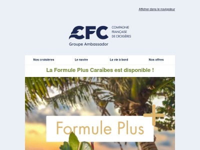 🌴 Votre croisière dans les Caraïbes à prix malin !