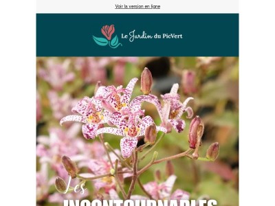 Les Incontournables du mois : découvrez  les plus belles plantes de la pépinière en ce moment ! ❤️