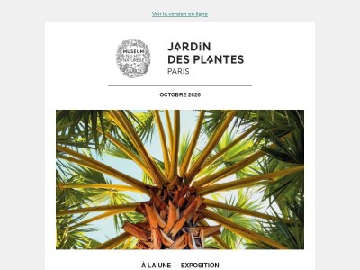 Automne tropical à l'horizon !