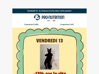 🍀 Vendredi 13 : -13% + un cadeau offert