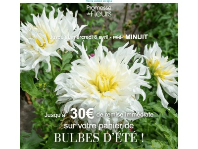 ⏱️ Prolongation exceptionnelle : 5€ offerts tous les 20€ d’achats sur tous les bulbes d'été, c'est jusqu'à ce soir !