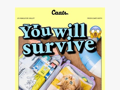 Survivras-tu sans ton chat ? 🙀😎