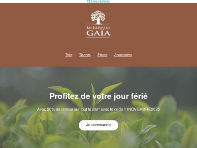 -20% sur tout le site* 🚨