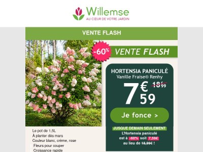 📢 La 3ème plante achetée à -50% : c'est ici !