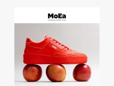 Découvrez nos biomatériaux innovants 🌽🍇🍎