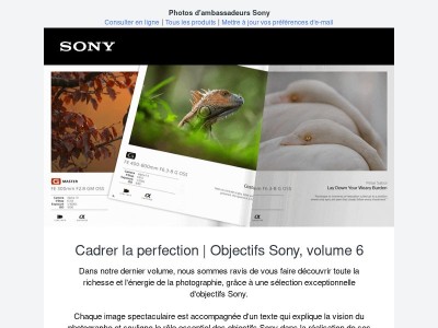 Cadrer la perfection | Objectifs Sony,  volume 6