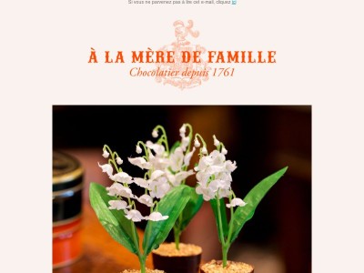 Un brin de muguet, promesse de bonheur 💚