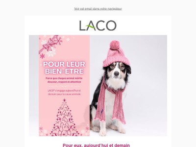 🐶 Le bain tout en douceur pour les chiens