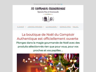 La boutique de Noël du Comptoir Authentique est ouverte !