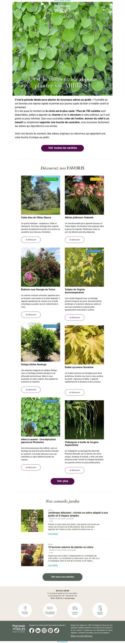 Arbres : la meilleure saison pour planter… c’est maintenant ! 🌳