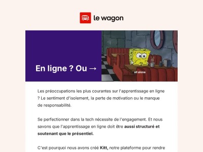Ce qu'on ne vous dit pas sur l'apprentissage en ligne. 🌐