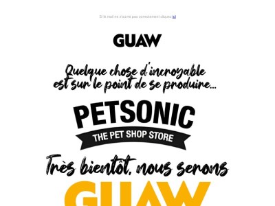 Quelque chose d’incroyable arrive… 🐾