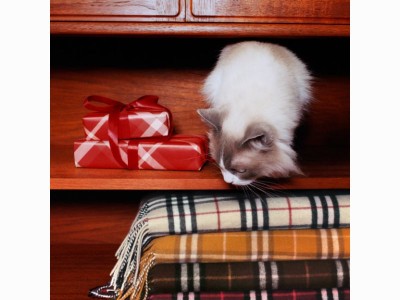 Dernière chance pour vos cadeaux en ligne