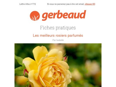 Vos conseils plantes et jardin pour la semaine