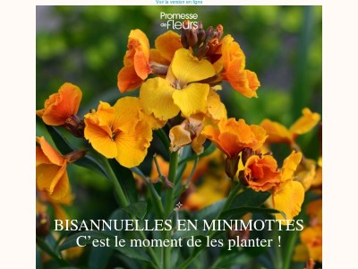 Des minimottes pour un printemps haut en couleurs 🌸