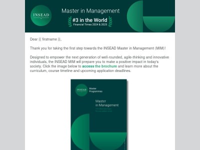 MIM brochure: The ideal launchpad for your global career