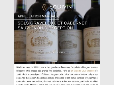 L'appellation Margaux : là où le terroir graveleux révèle toute sa noblesse 🍷