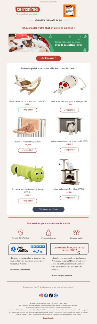 🎄 Noël arrive ! Découvrez nos idées cadeaux pour votre chat  !