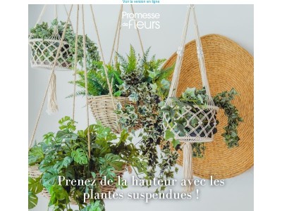 Donnez de la hauteur à vos plantes d’intérieur 🌿