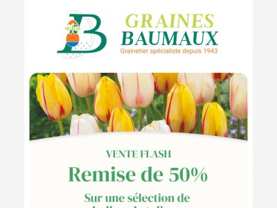 🕔 REMISE de 50% sur une sélection de bulbes de tulipes.