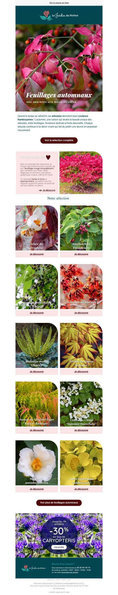 Feuillages automnaux : des arbustes aux mille nuances 🍂