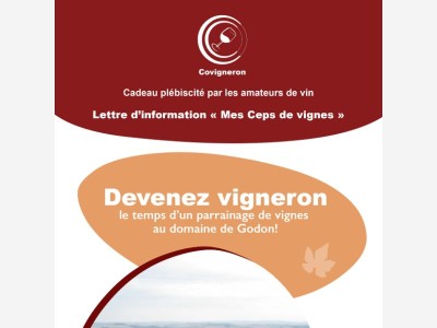 Comment se faire plaisir au bord de la piscine ?