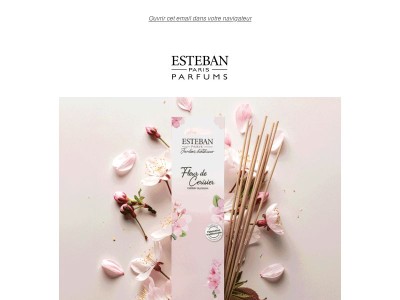 L'encens🧘‍♀️votre rituel parfumé