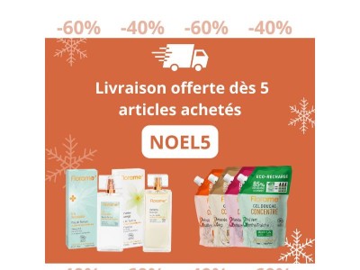🚚 Livraison OFFERTE 🎄