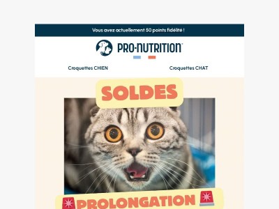 Surprise ! On joue les prolongations... 🐾