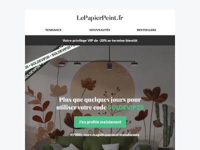 ⏳ Votre privilège VIP expire bientôt !