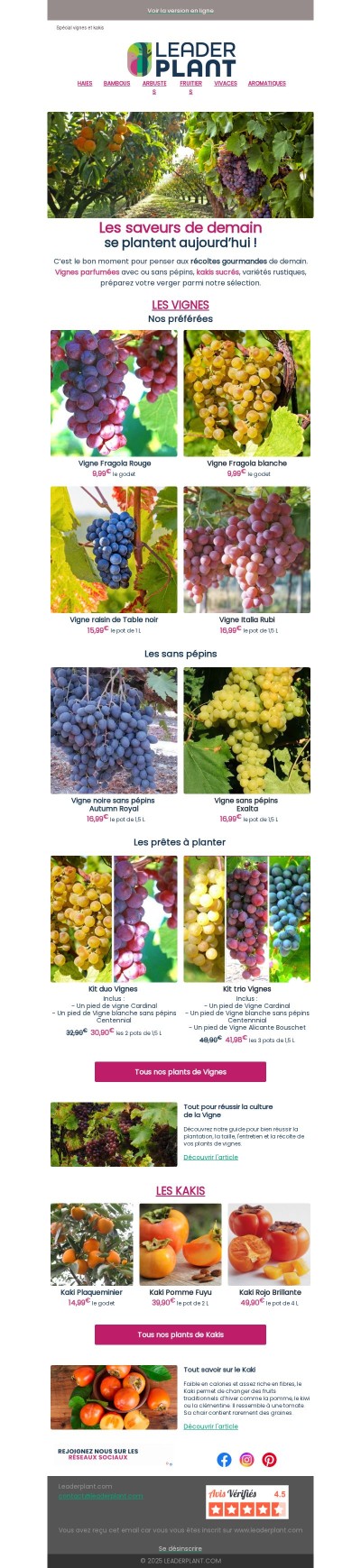 🍂 L’automne, la meilleure saison pour planter gourmand ?