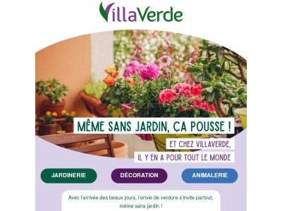 Même sans jardin, ça pousse 🌱