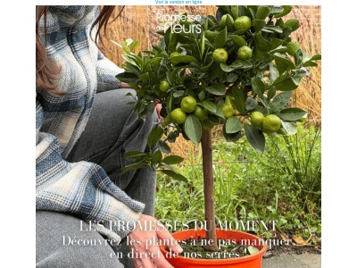 Laissez entrer les Promesses du moment dans votre jardin ! ❤️