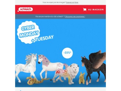 CYBER MONDAY+TUESDAY : -25 %* sur presque tout !