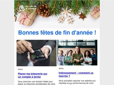 Entrepreneurs : Comptes à terme, interessement, cadeaux de fin d'année, résultat de l'exercice, transmission