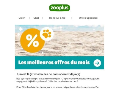  Votre chien le sait déjà — le printemps, c'est maintenant.