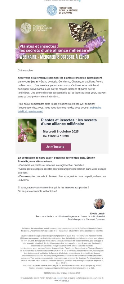 Savez-vous ce qui lie plantes et insectes ?