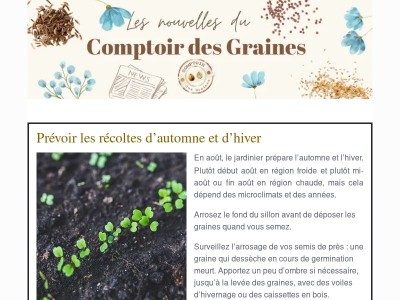 Des récoltes parfumées de vos aromatiques préférées : c’est le bon moment !