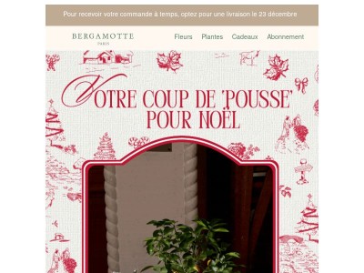 {{ lastname }}, 20% offerts sur vos cadeaux de Noël !