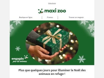 Plus que quelques jours pour illuminer le Noël des animaux en refuge 🐾 