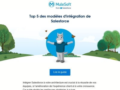 Découvrez le top 5 des meilleurs modèles d'intégration de Salesforce