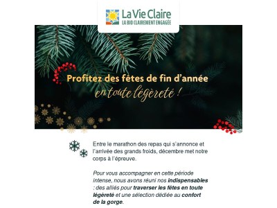 Préparez les fêtes en toute légèreté 🎄
